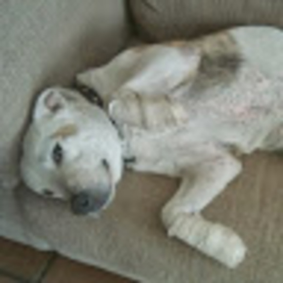 Meet your Posher, Mandy - Picture 1 of 1